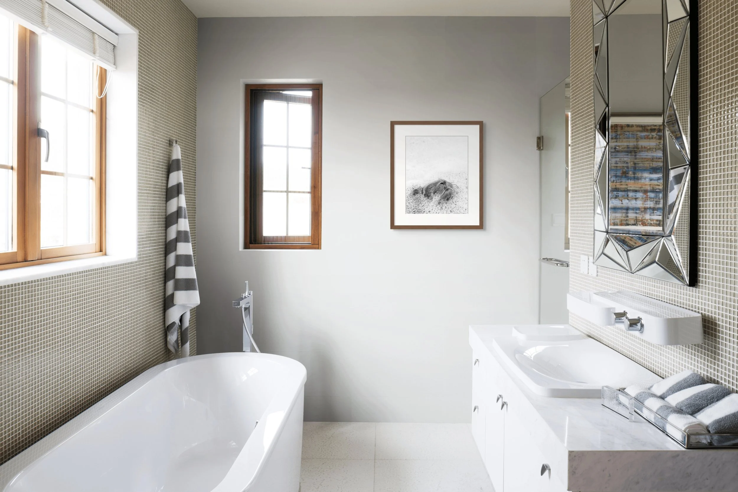 harbor seal portrait 2.jpg