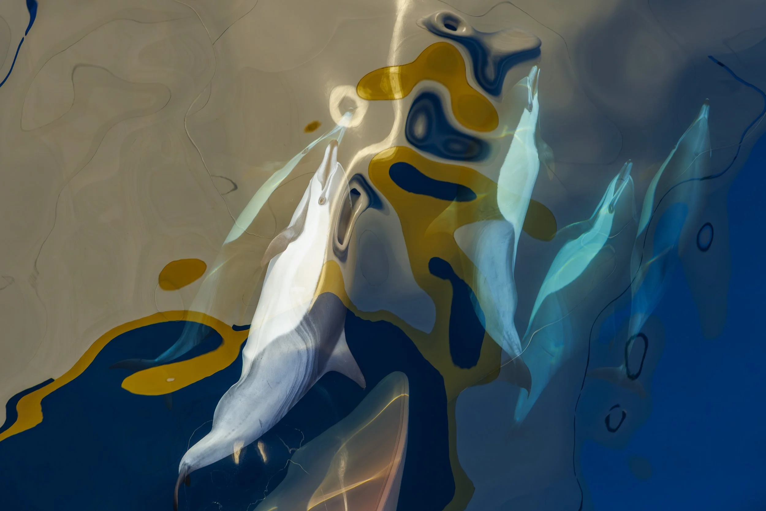 Under the Bow.jpg