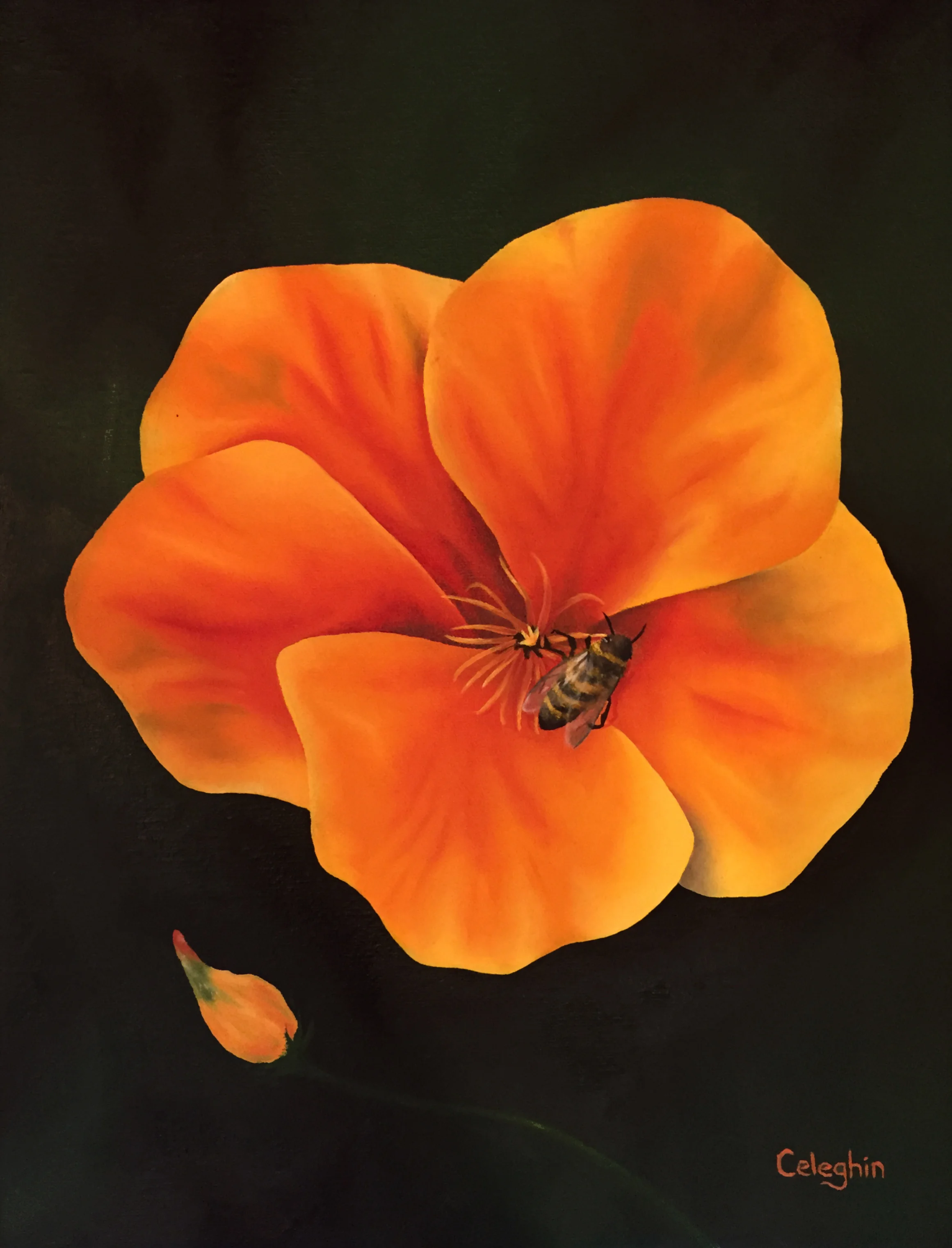 flower.jpg