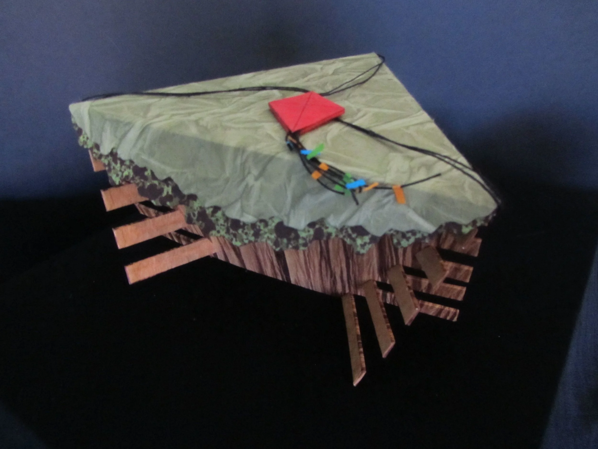 Kite in a Tree Box
