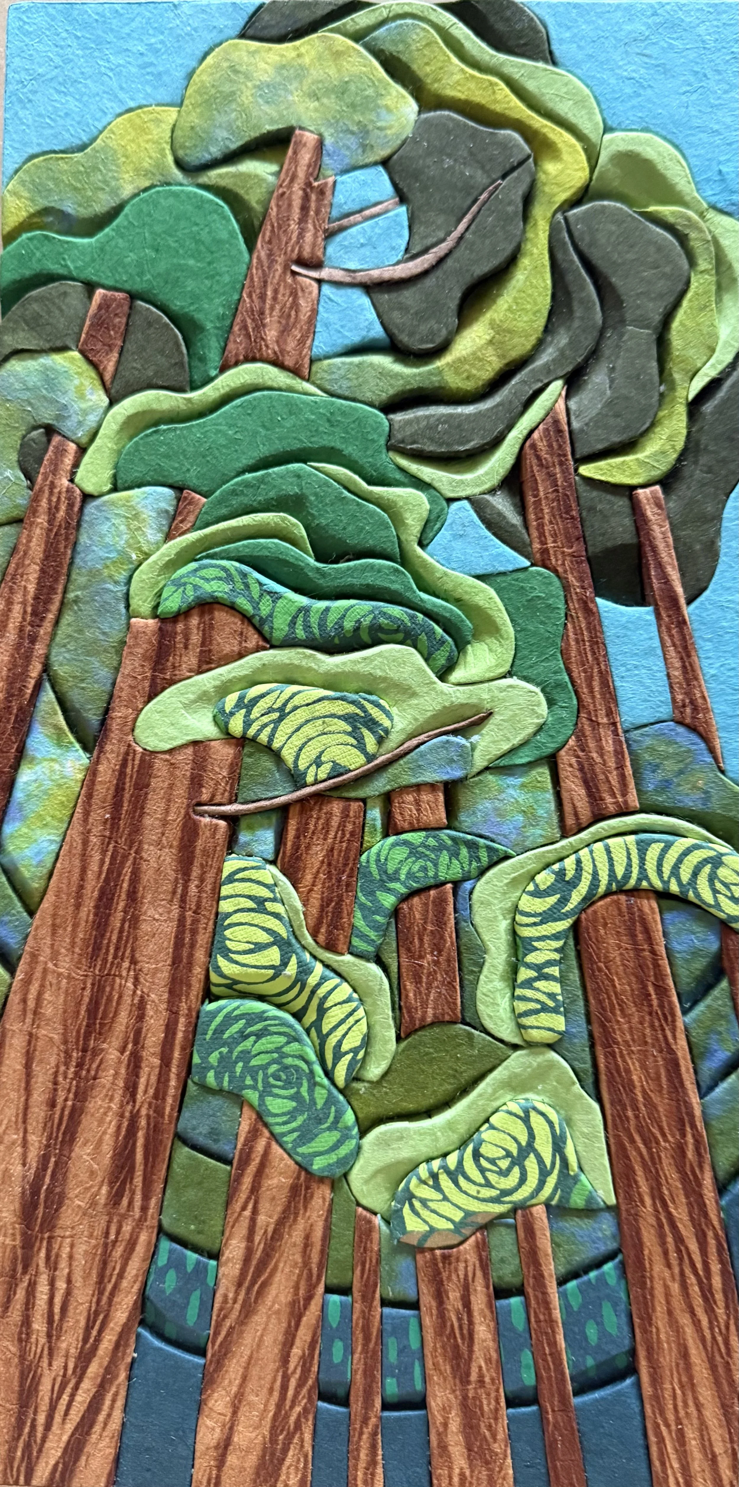 Looking up into Redwoods