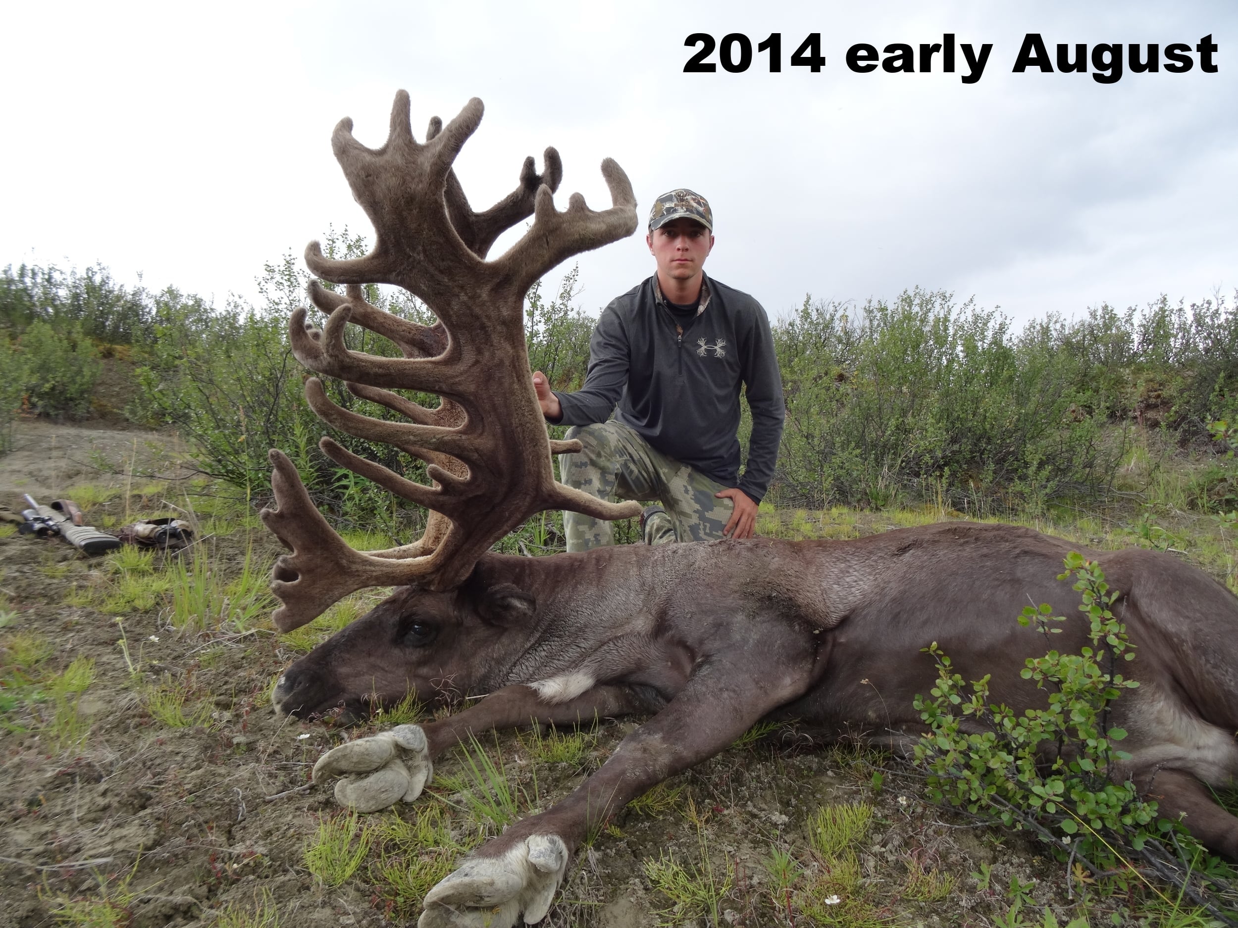 Billy Trizano 2014 Bull Caribou