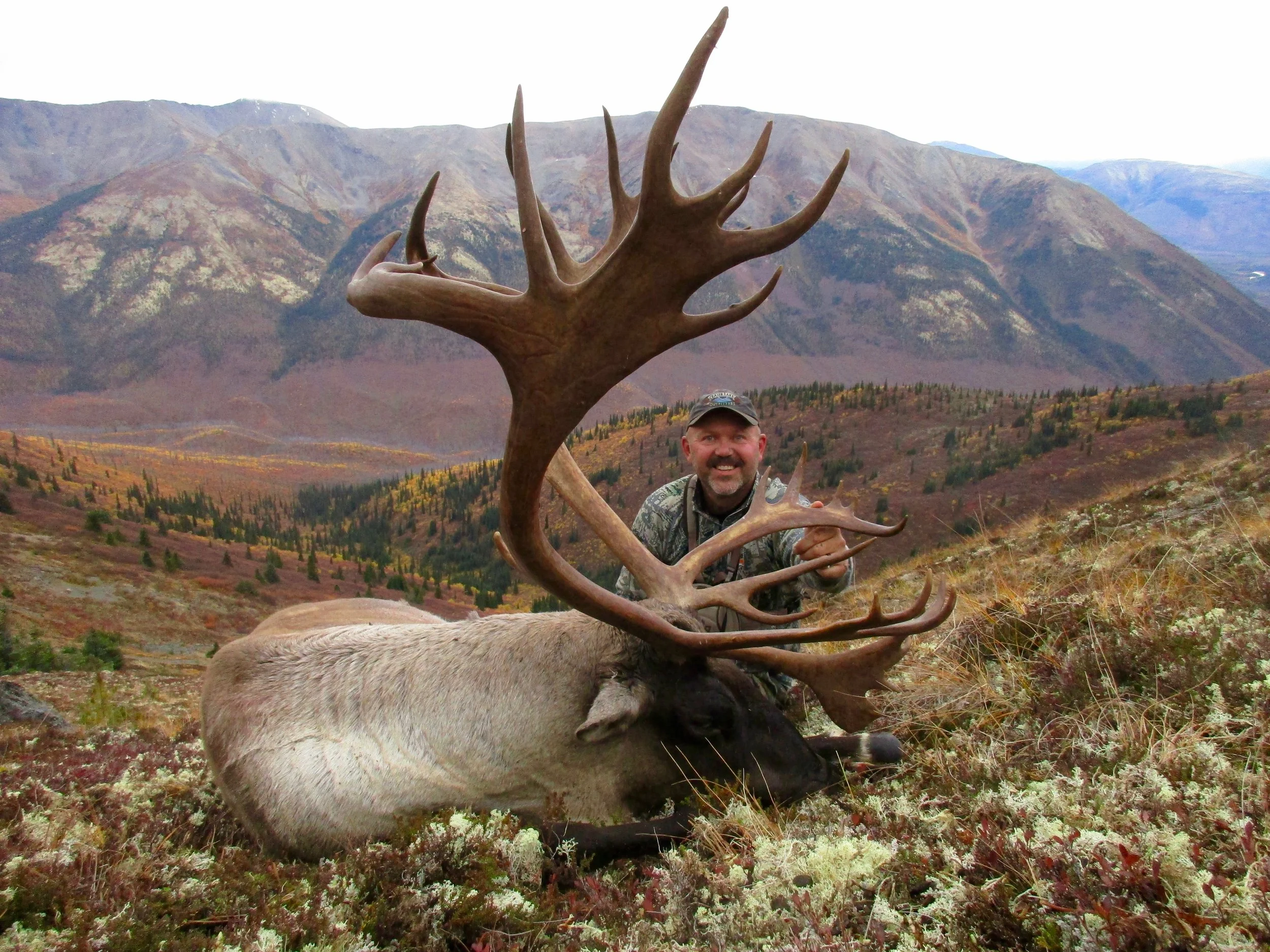 Jeffmosercaribou.jpg