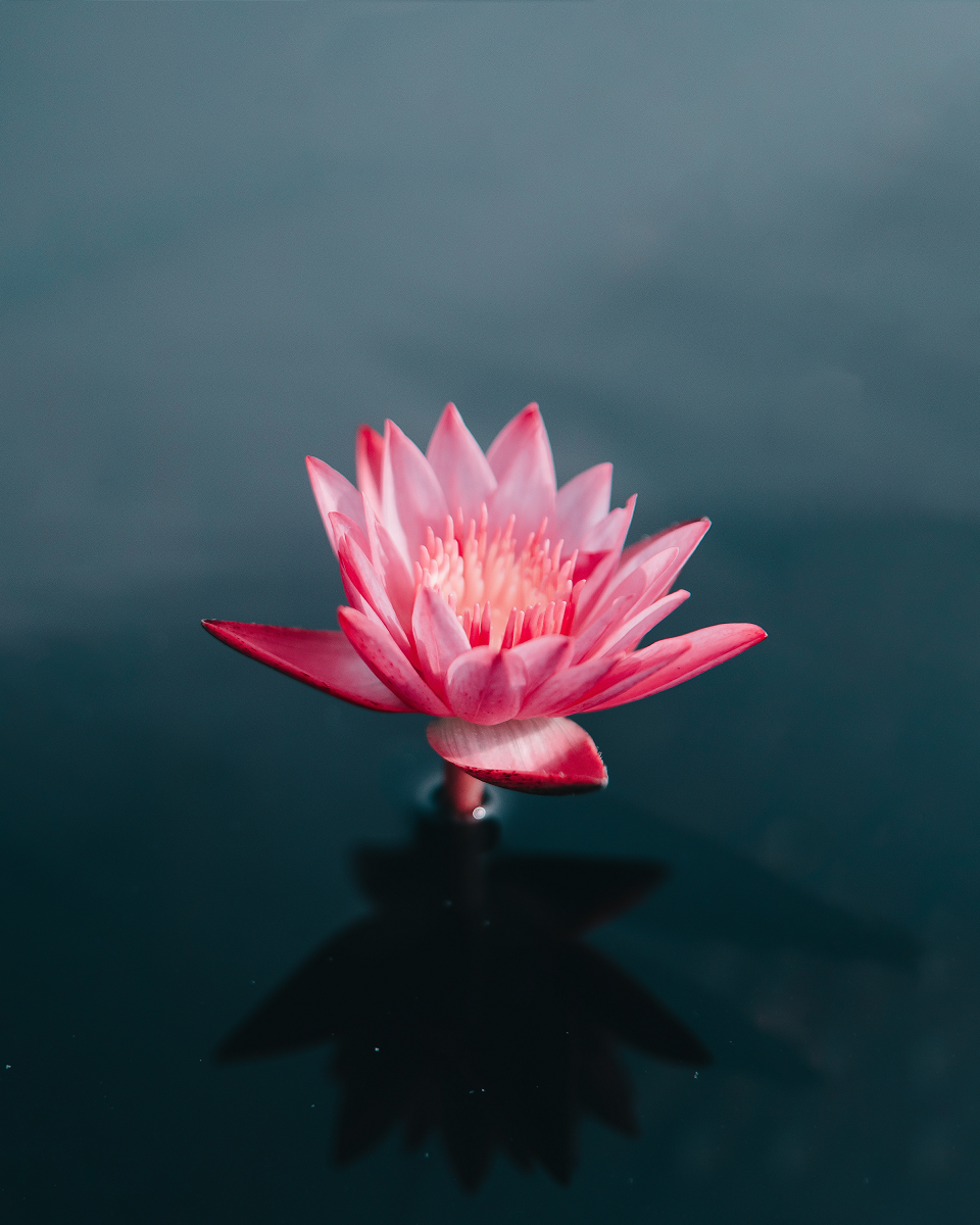 Photo by Ahmed Saffu on Unsplash