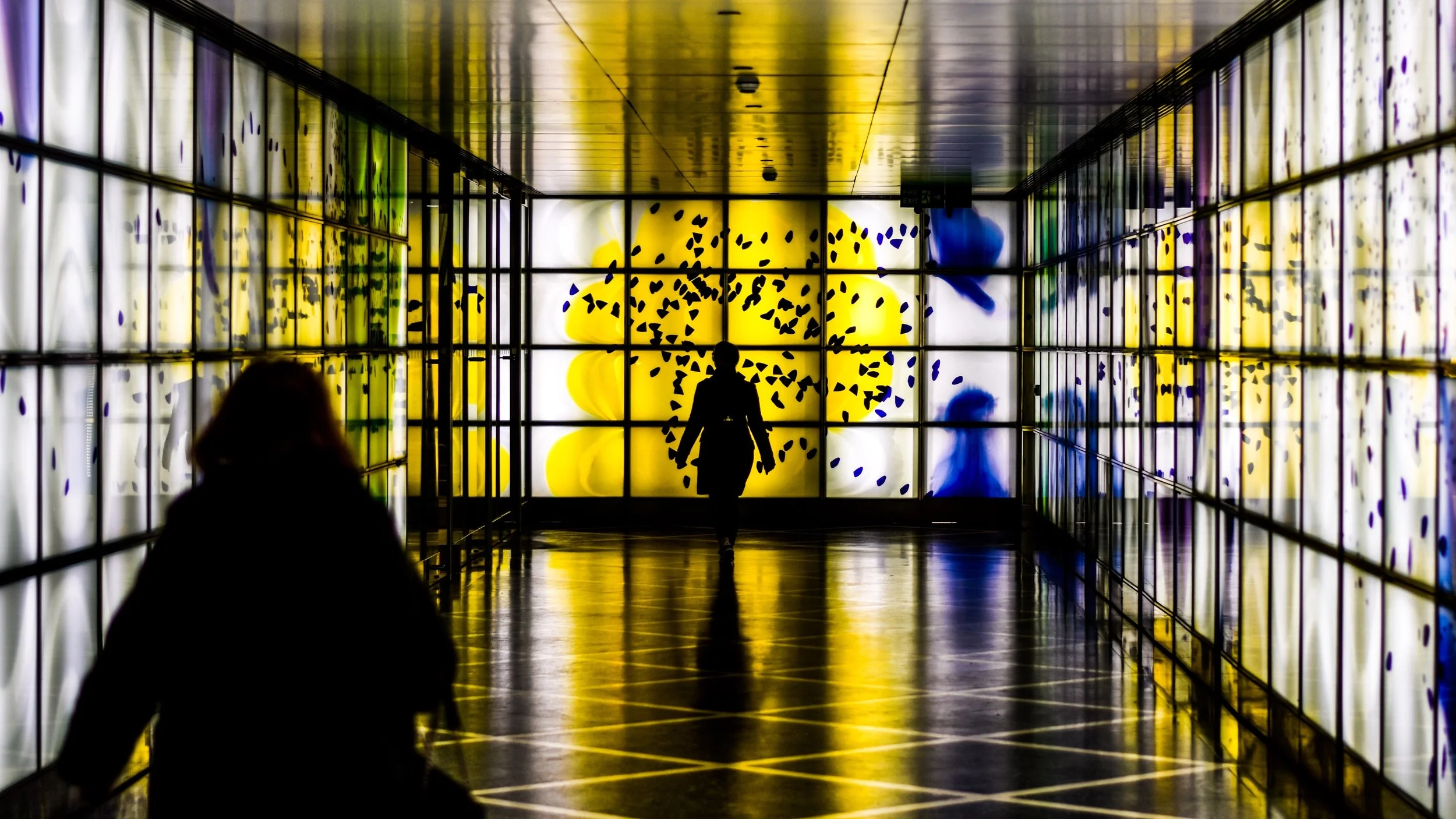 Photo by Mitch Rosen on Unsplash