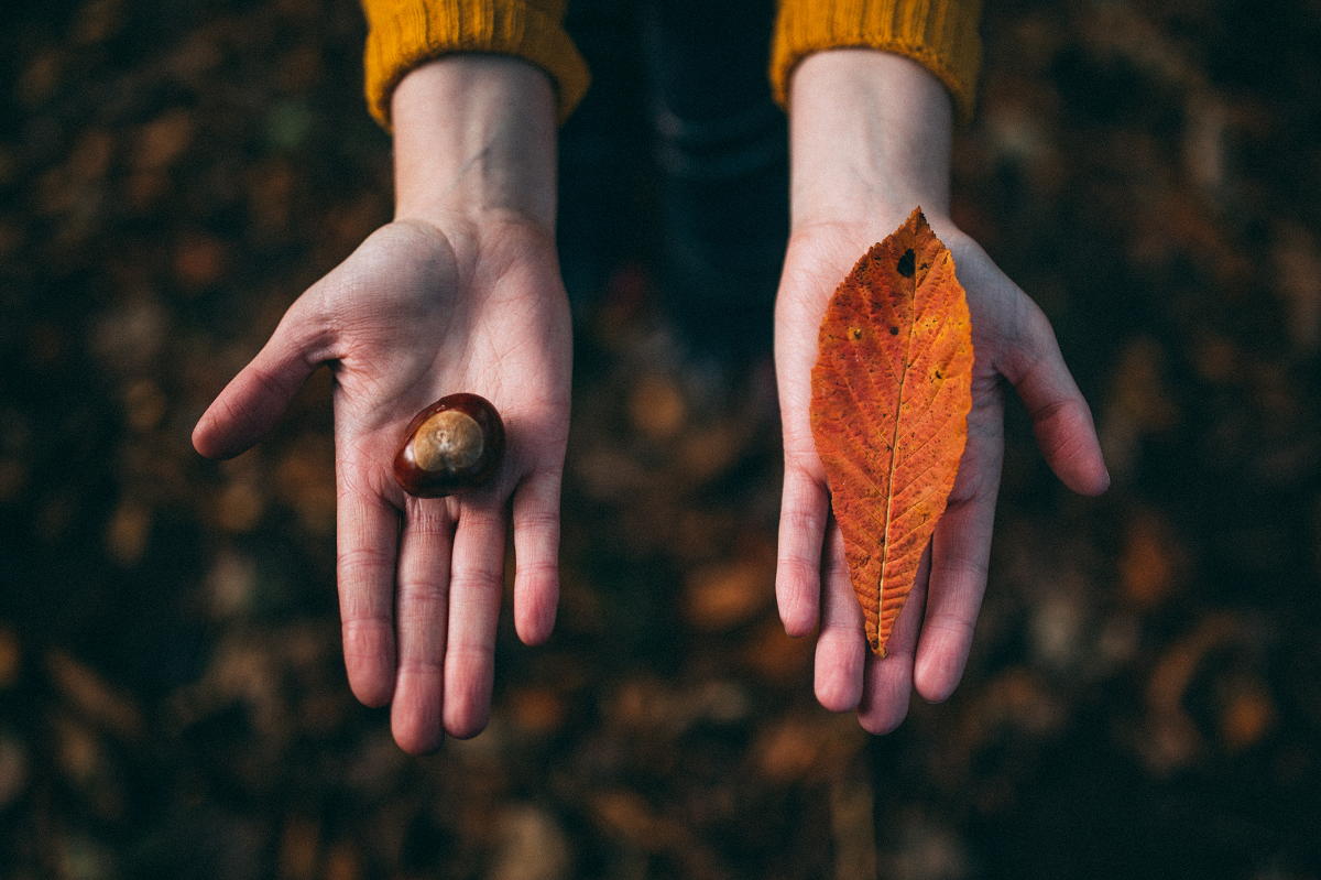 Photo by Felix Russell-Saw on Unsplash