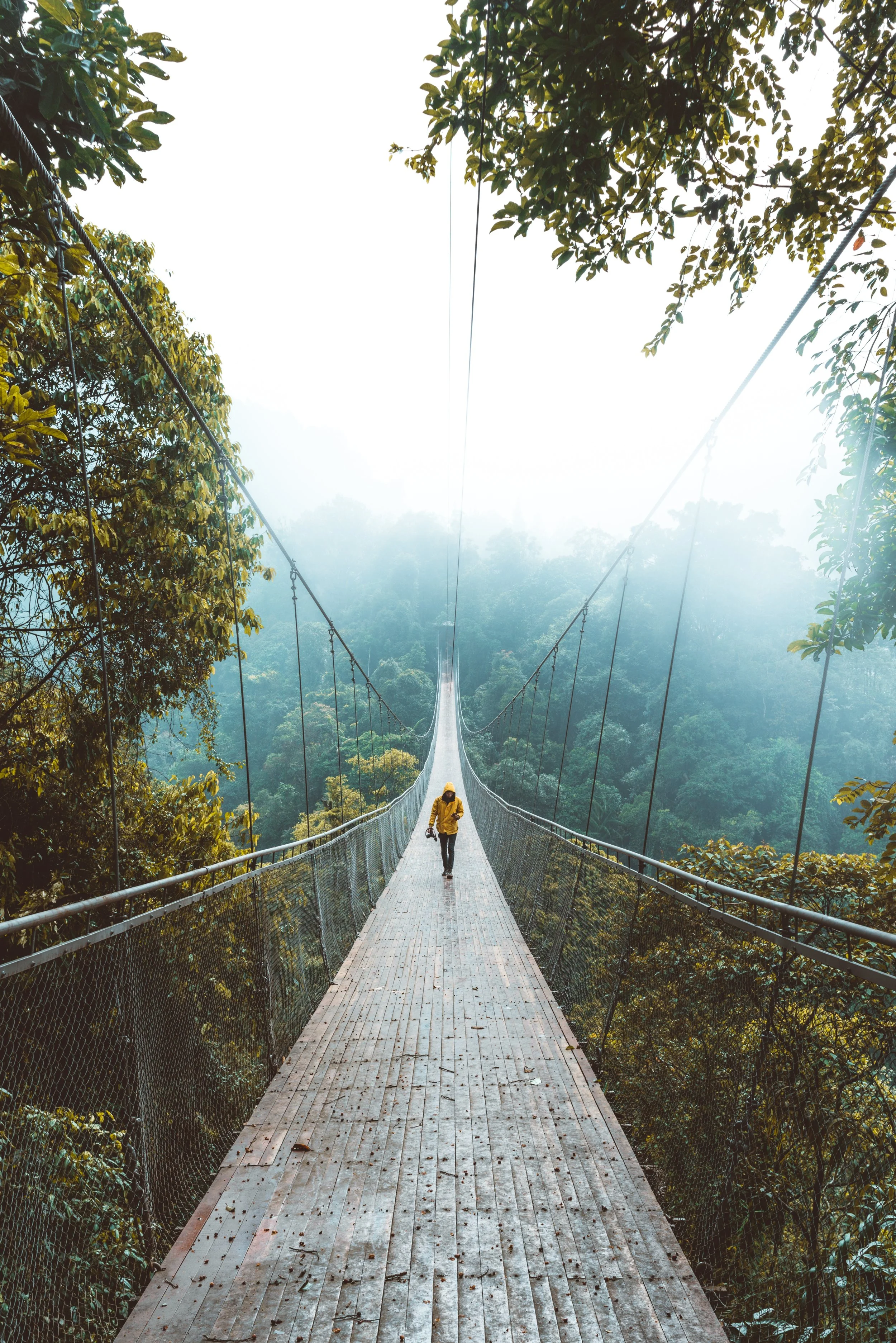 Photo by Ramdan Authentic on Unsplash
