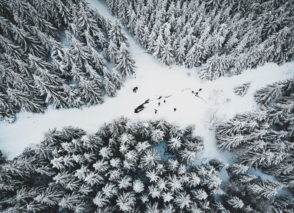 Photo by Martin Prokop on Unsplash