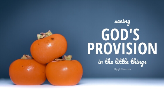  Seeing God’s Provision in the little things 