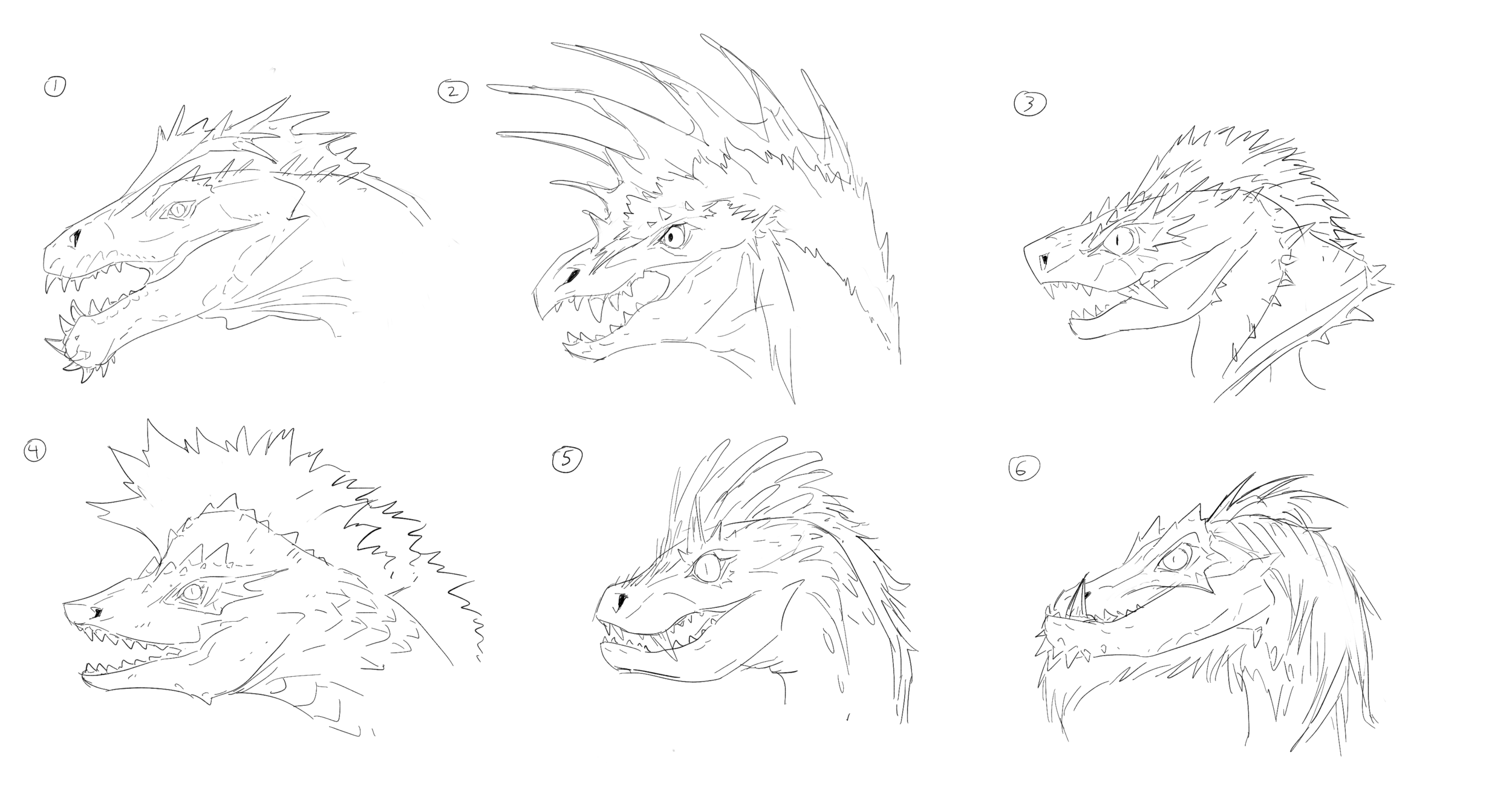 head_explorations.png