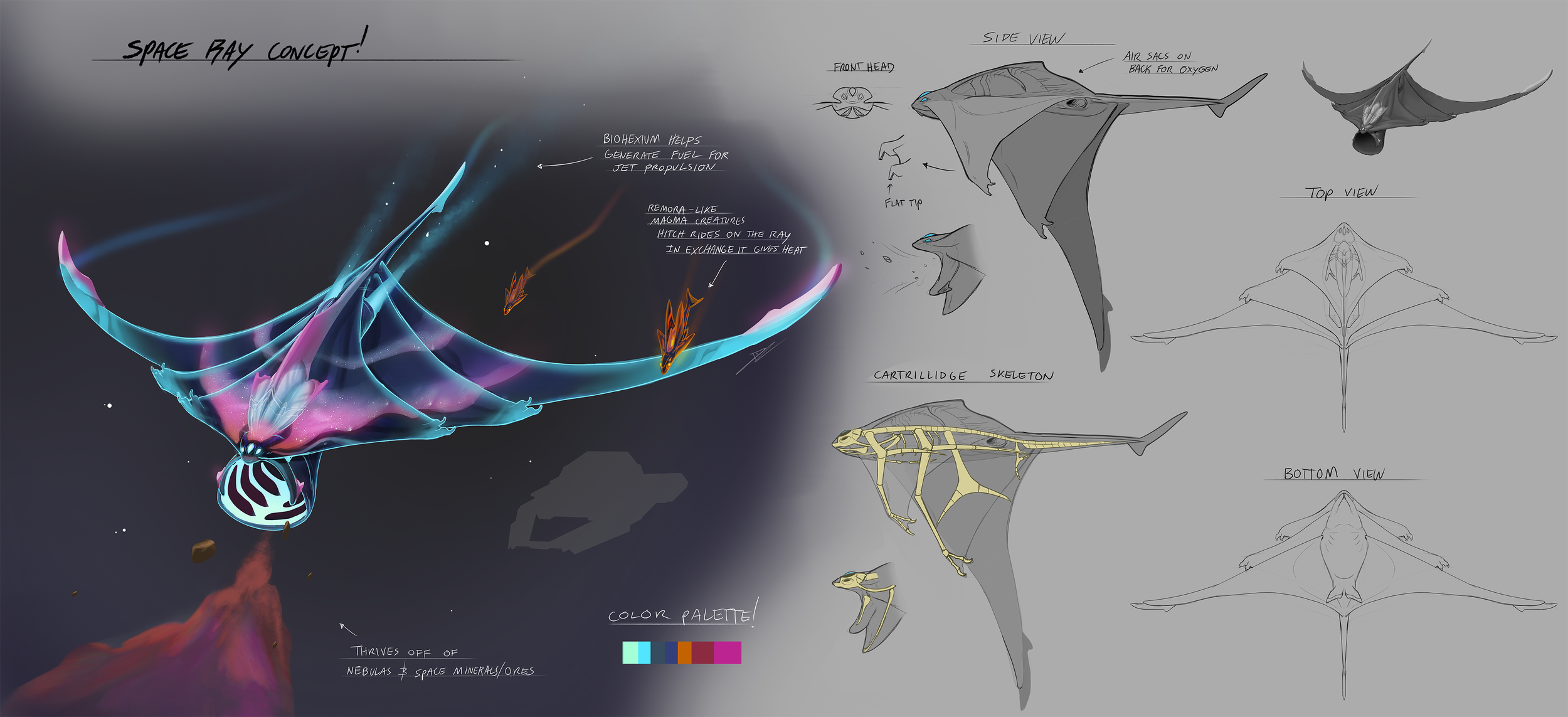 space_ray_concept_smaller.png