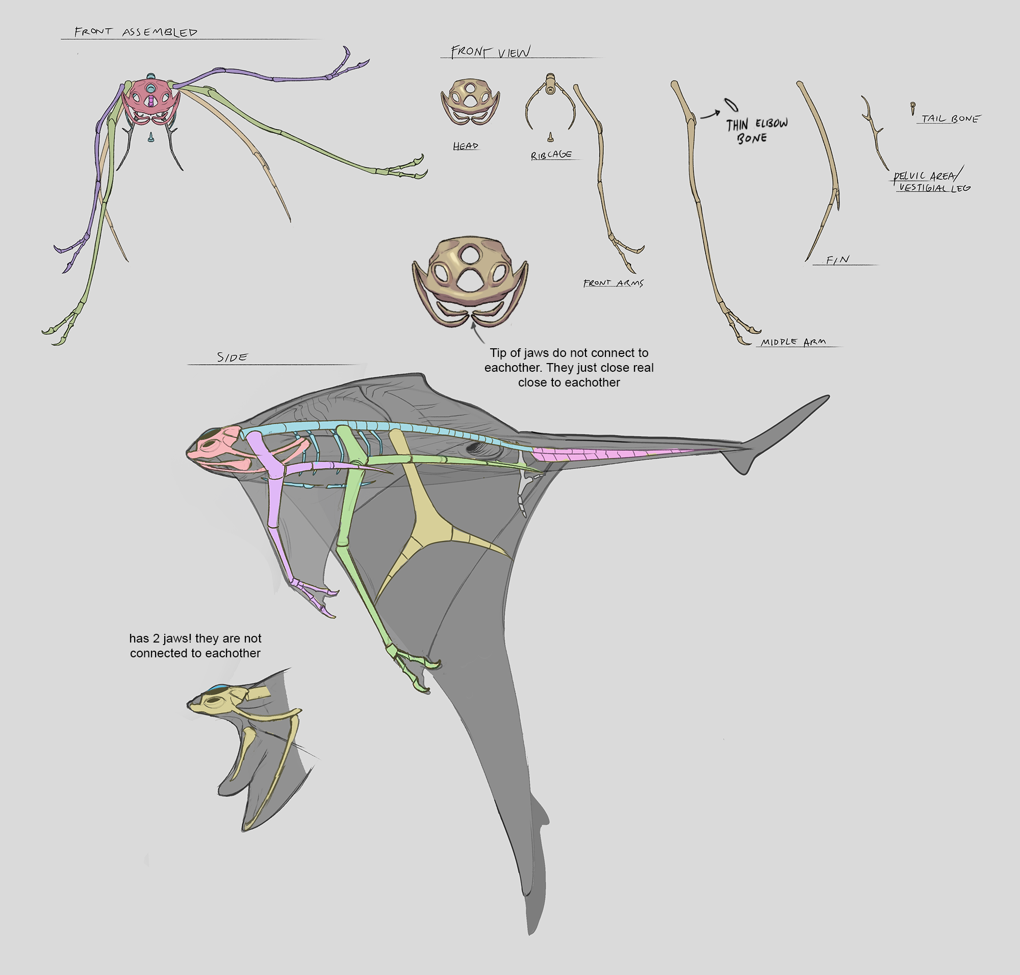 Space_ray_skele.png