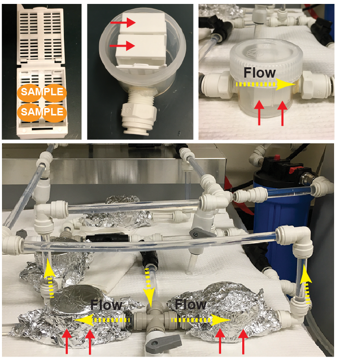 Setup of parallel flow-assisted clearing. Up to 4 mouse brains can be inserted into a tissue cassette (30x40x12mm). Two cassettes (indicated by red arrows) are inserted into a chamber constructed with an inlet and outlet for buffer exchange. To scale up clearing, multiple chambers (each containing up to 8 brains) can be connected in parallel to a temperature-controlled circulator (calibrated so that the temperature in the sample chamber is kept at 40°C). 