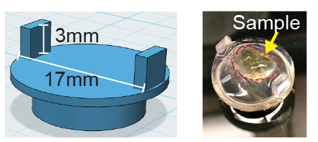 Schematic and picture of the adapter used for mounting brains onto the ultramicroscope