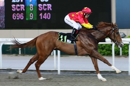 Skywalk (Barend Vorster) strides away to an impressive debut as a two-year-old last July.