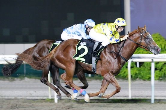 Bristol Diamond (Danny Beasley, on the outside) swoops down on Grey Falcon (Manoel Nunes) to score first-up.