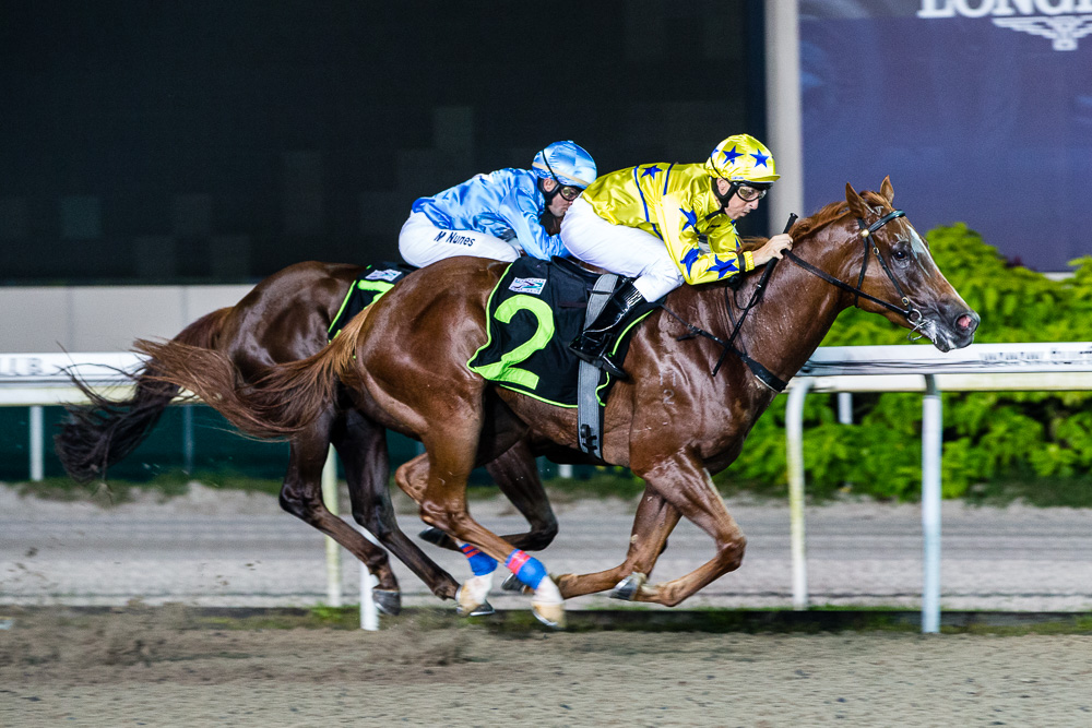 Bristol Diamond: winner, Maiden - 1000m