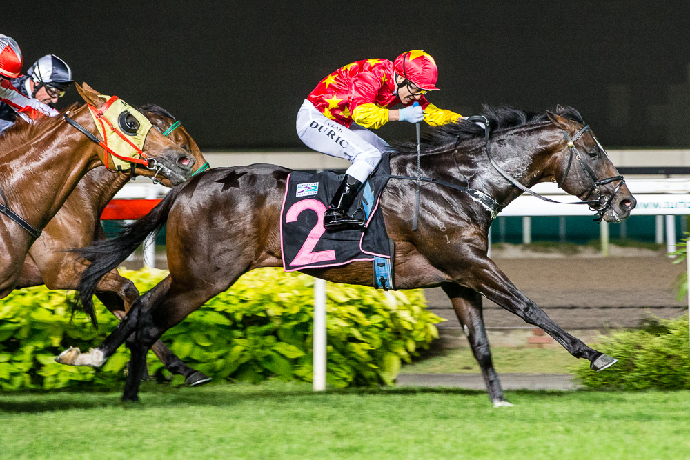 Wimbledon: winner, Kranji Stakes A - 1200m