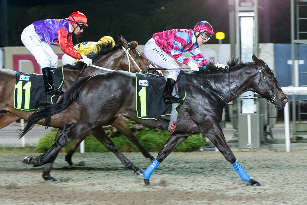 Brahma Circus: winner, Open Benchmark 67 - 1200m