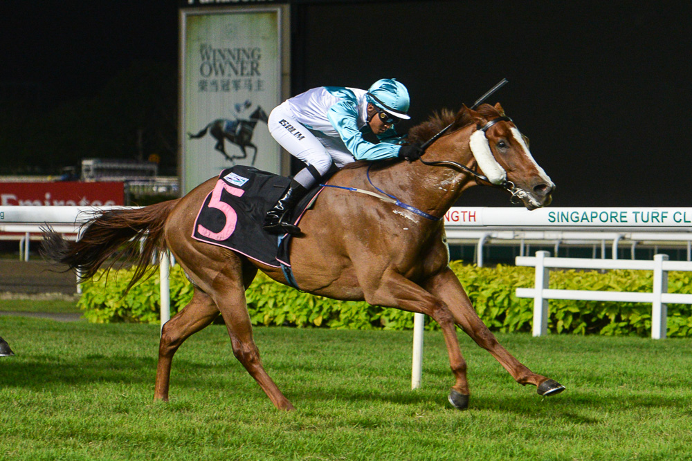 Royal Easter: winner, Maple Leaf Stakes Class 4 - 1200m
