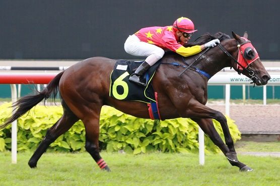 Grand Cross (Shafiq Rizuan) at his last win on November 20, 2016.