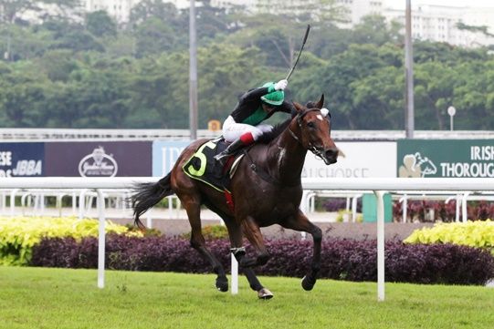 Deadline Day (Olivier Placais) springs a major upset at his debut on Sunday.