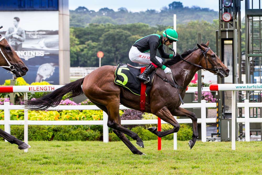 Deadline Day: winner, Restricted Maiden - 1200m