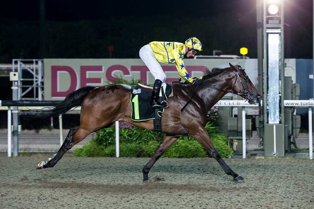 Winning Express: winner, Initiation - 1200m