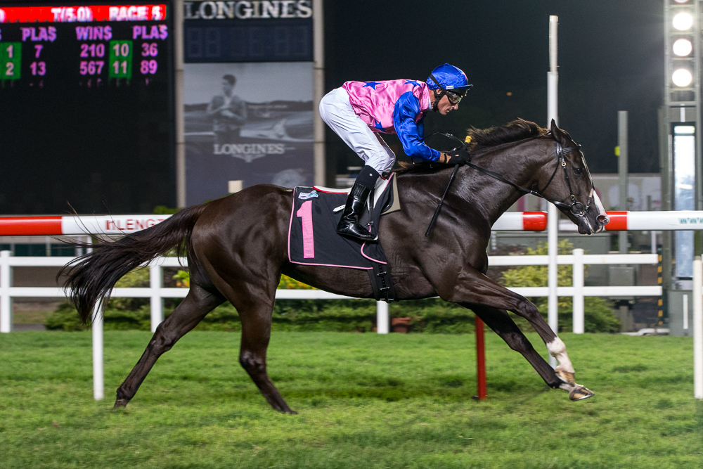 Dreamweaver: winner, Class 4 - 1200m