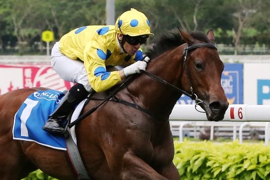 Mr Hanks (Vlad Duric) gives his two-year-old rivals a hiding on Sunday.