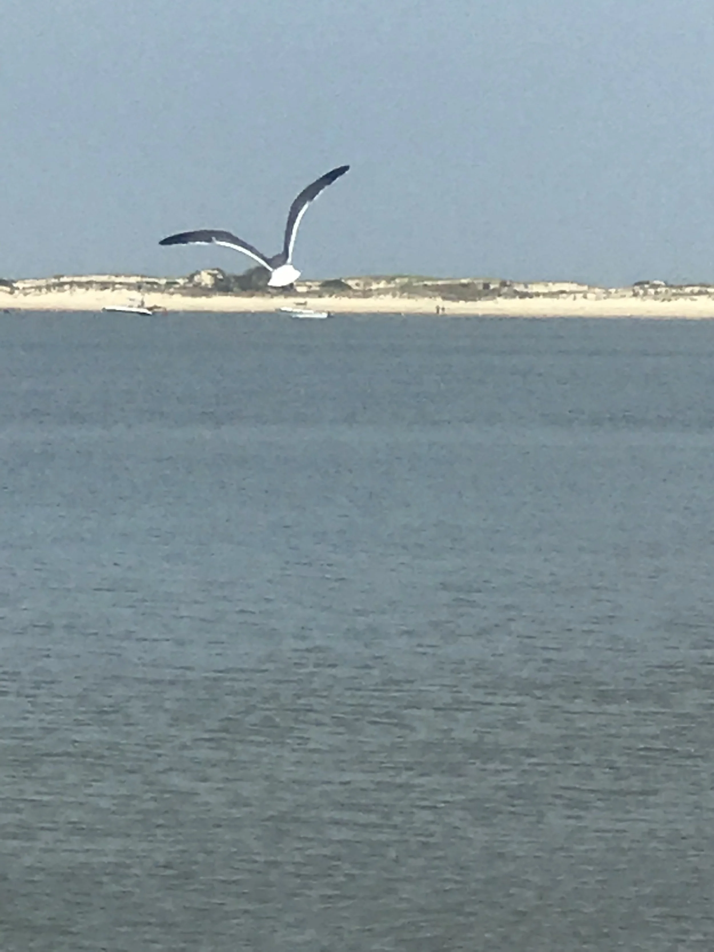 The freedom. This is from the Maryland Eastern Shore. Not sure if I took this pic, or our son Jayce. 