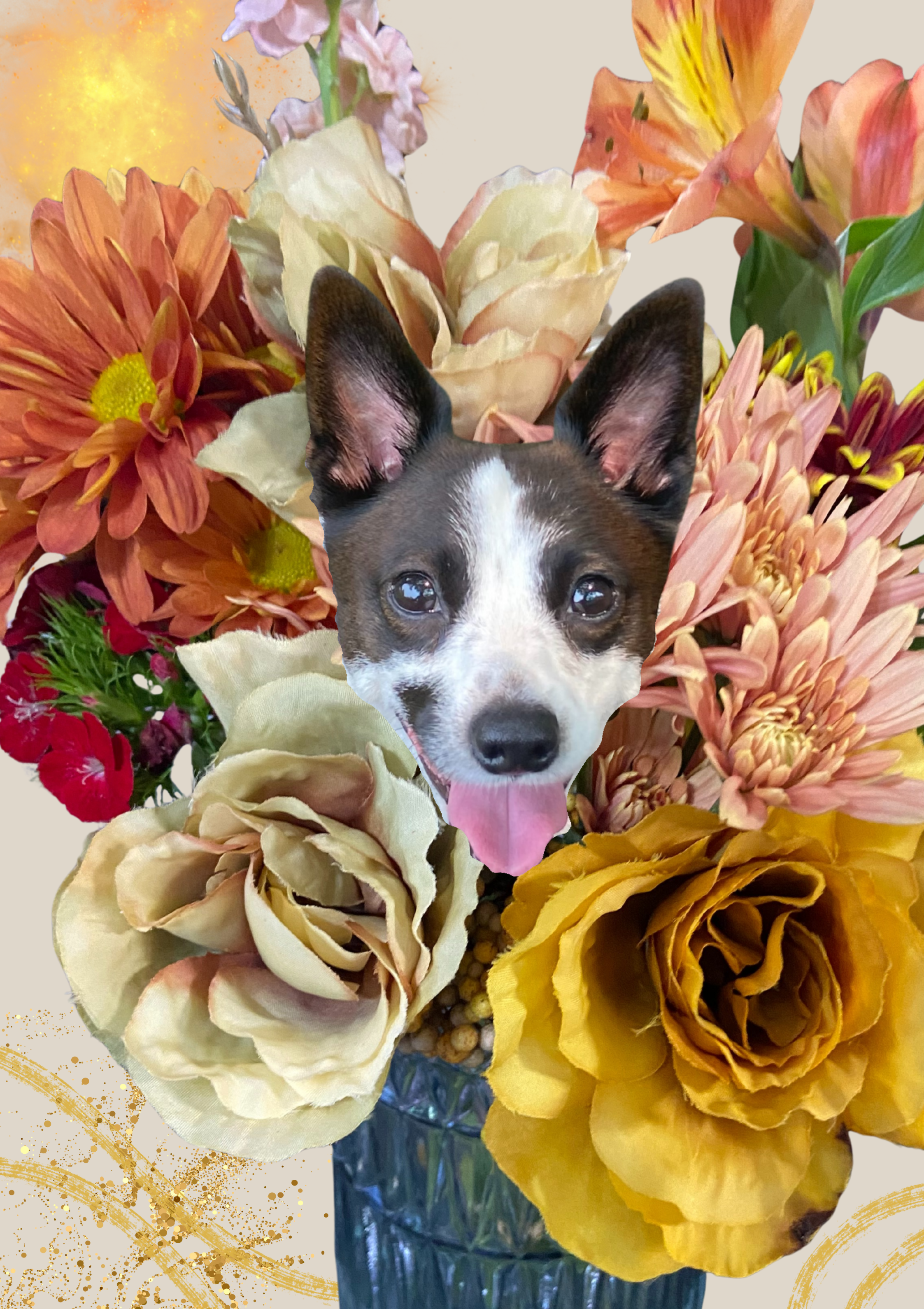 zilly flower 1 .png