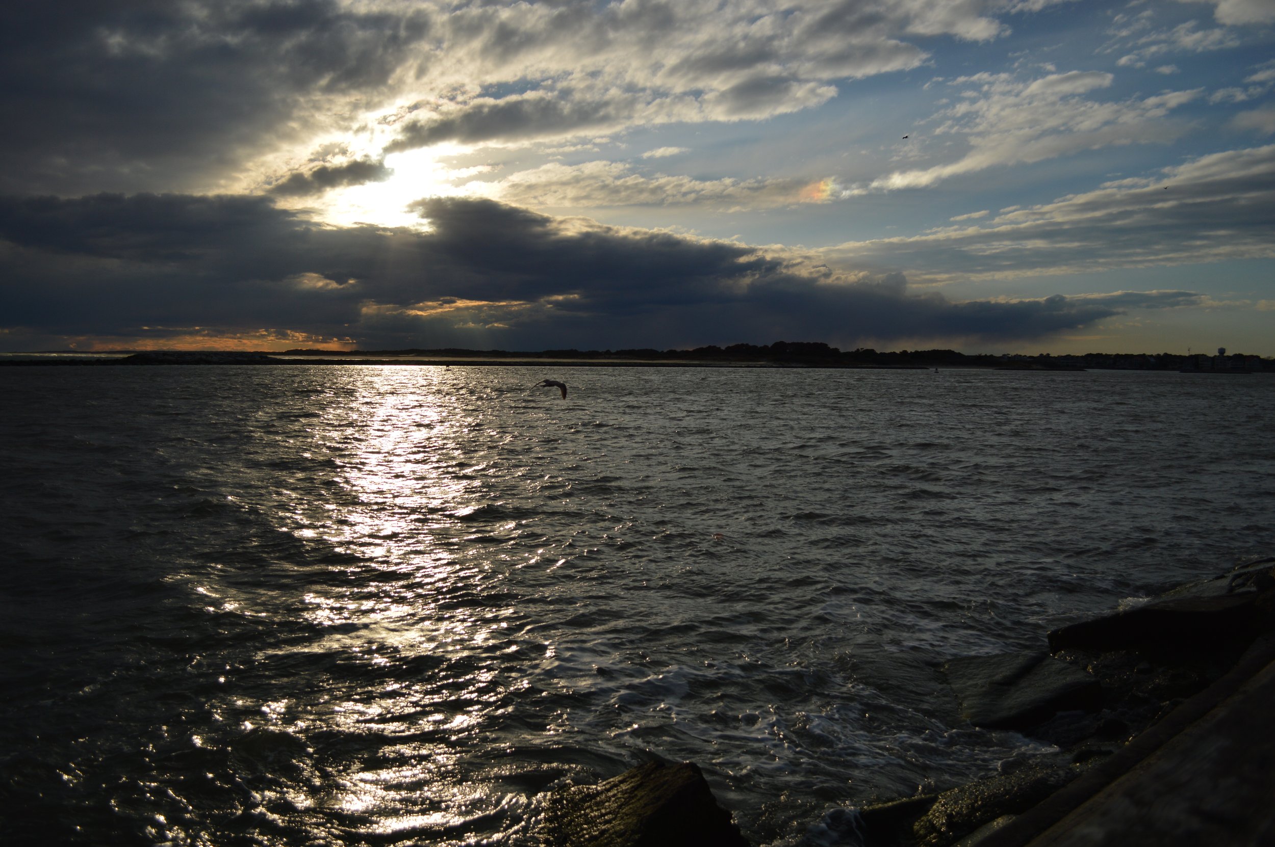 DSC_0774.jpeg