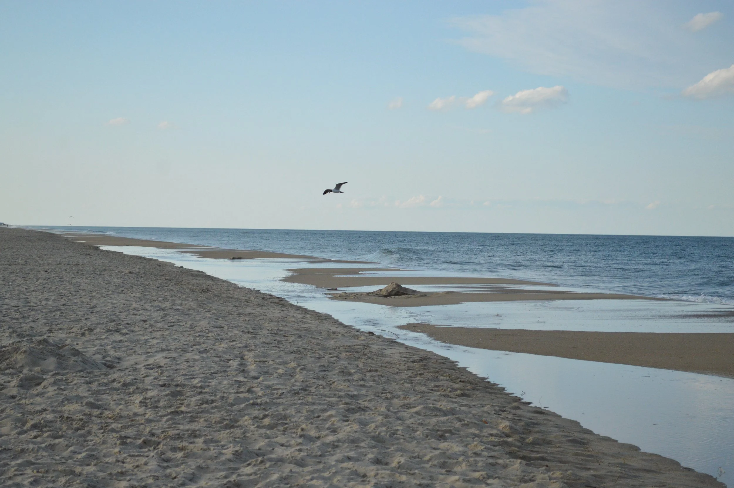 Vacation Mode: How to Stay Healthy and Build Momentum While Enjoying Summer
