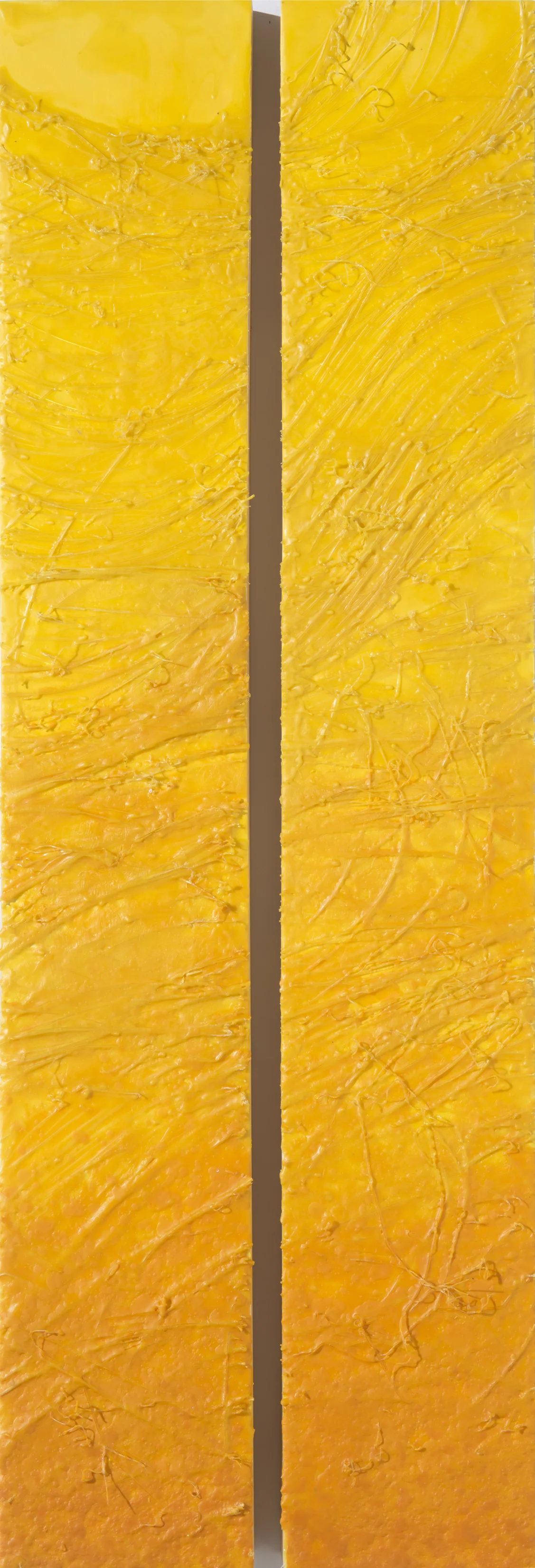 Royal Jelly - 19" x 55" - Wax, Fiber Optic, Arcrylic, Wood Panel