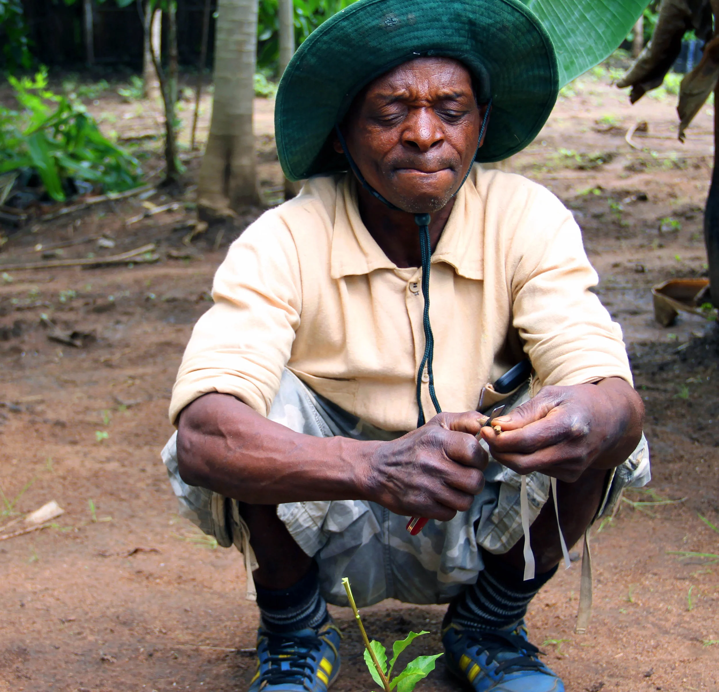 MozaCajú Pays off in Cashews for Farmers in Mozambique