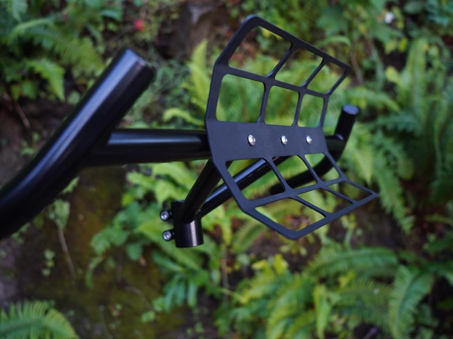 E372D180-1CBF-46F3-9C3F-E27F8D3A197D