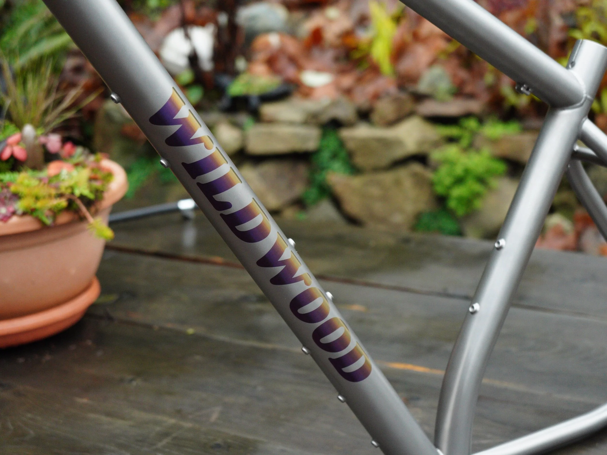 4995DF87-0B73-4FDF-B907-1D761ADF11B2