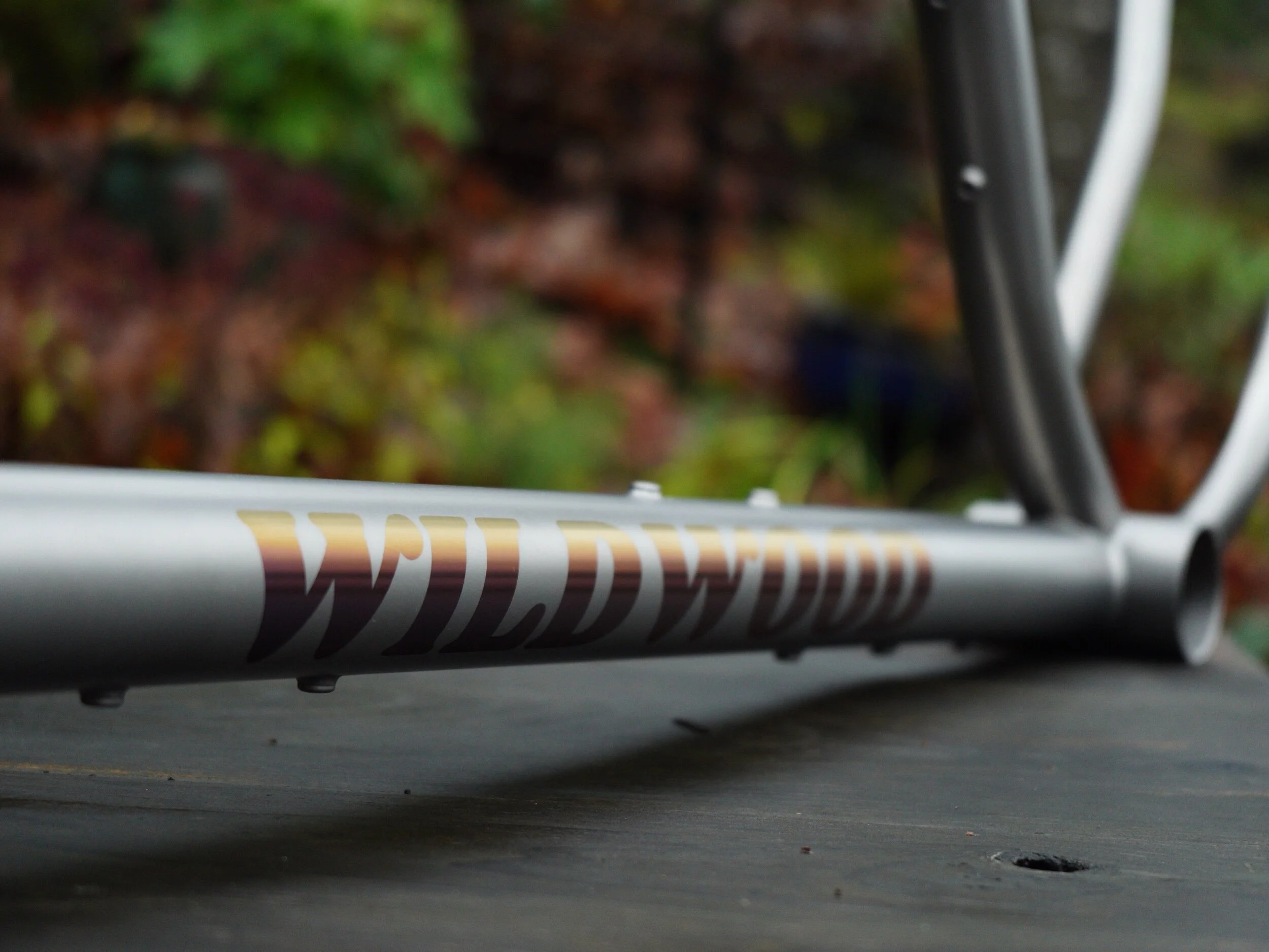 883FEE1E-EF47-47BC-AD5B-E93564EA7B1C