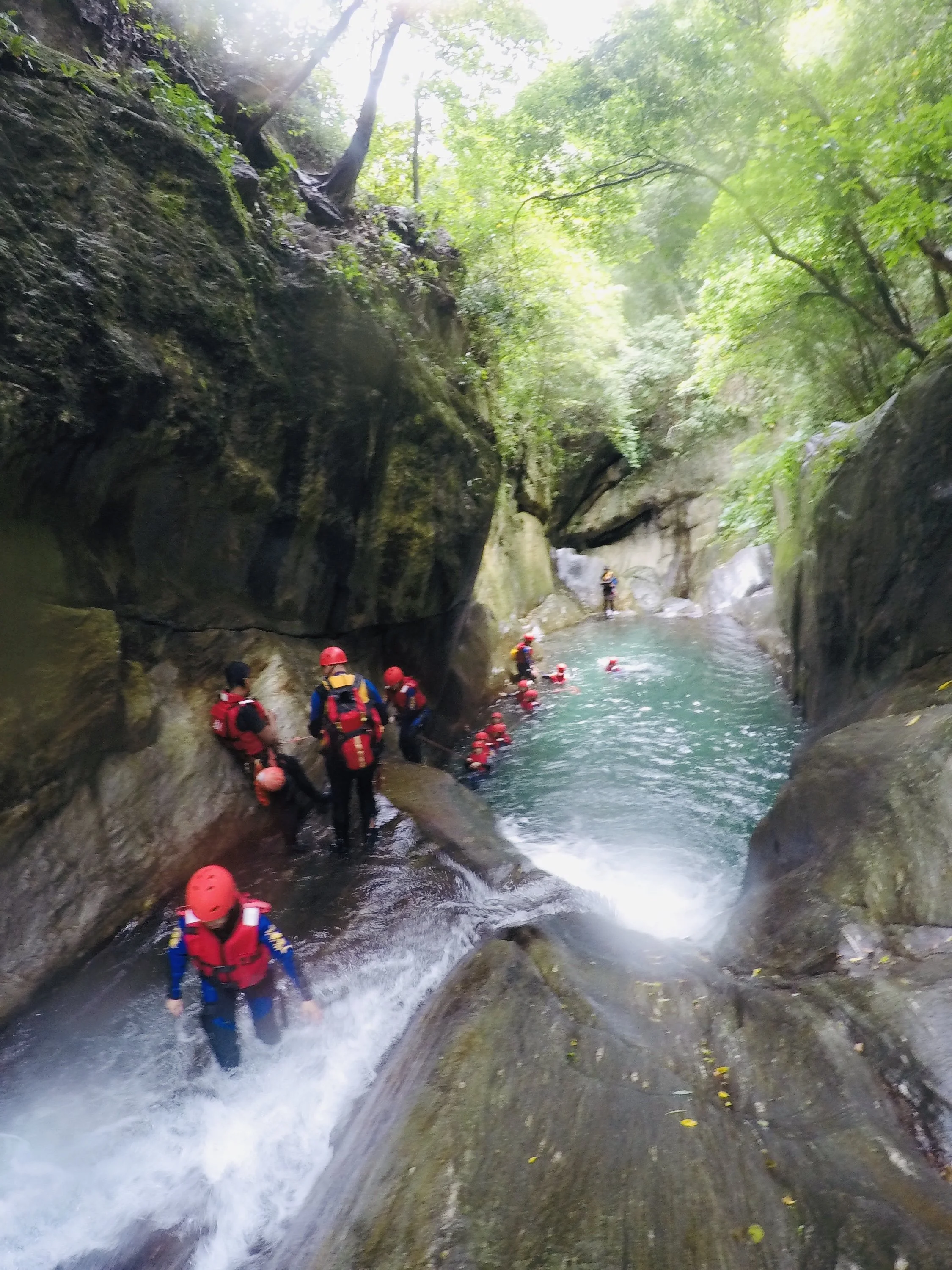 相片 2020-8-18 上午10 56 26.JPG