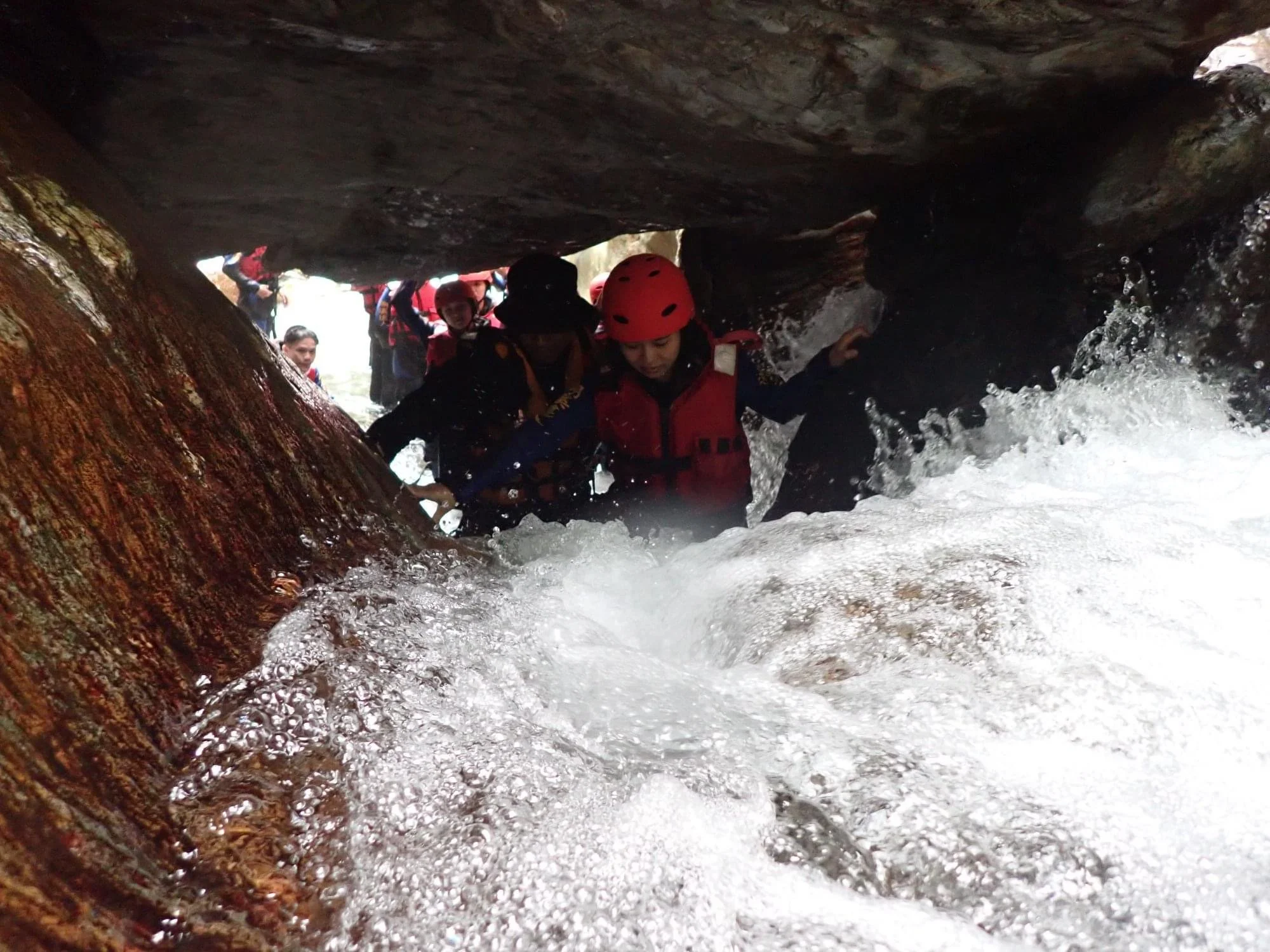 相片 2020-8-19 上午7 35 11.JPG