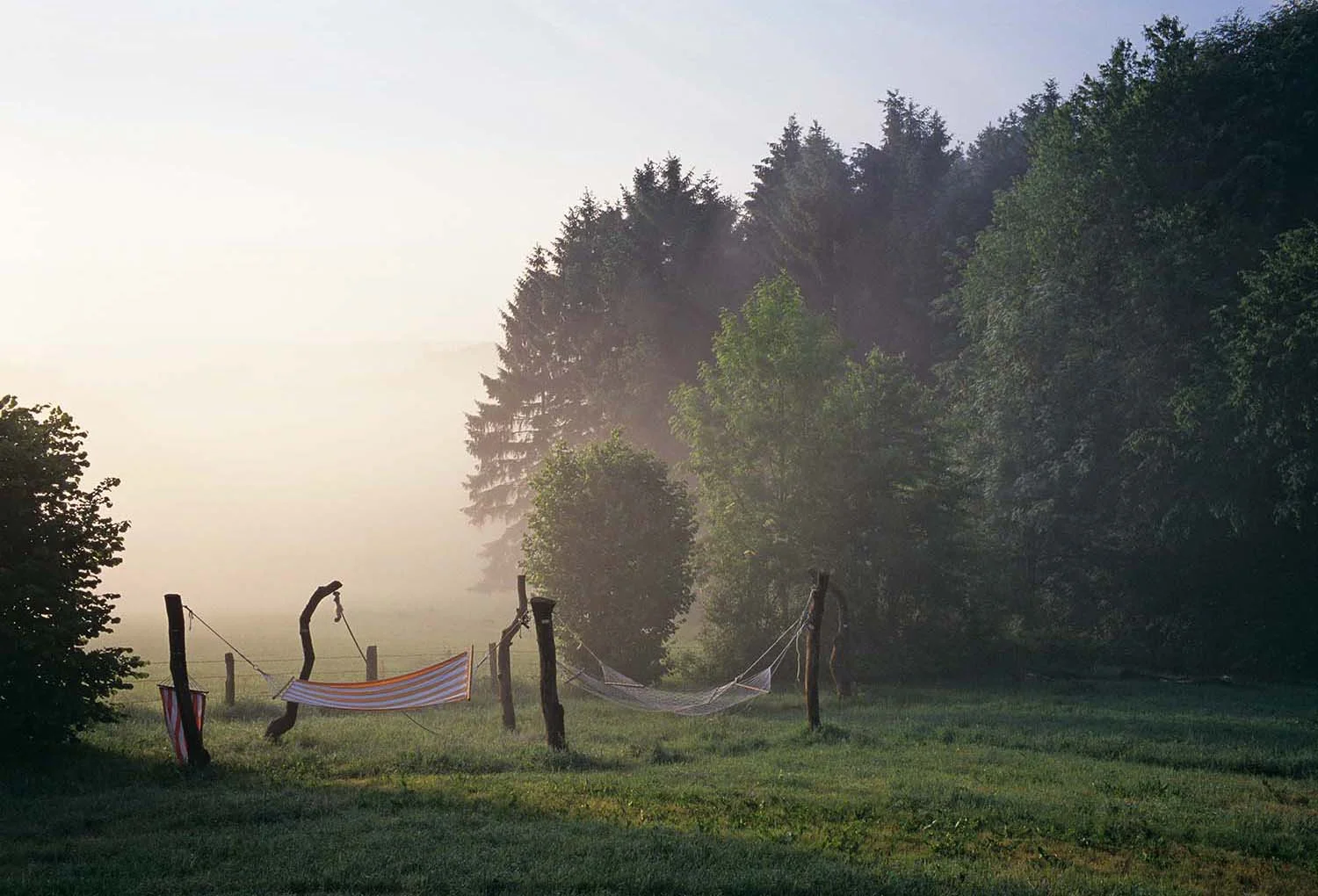 Morning mist in Birmingham, United Kingdom