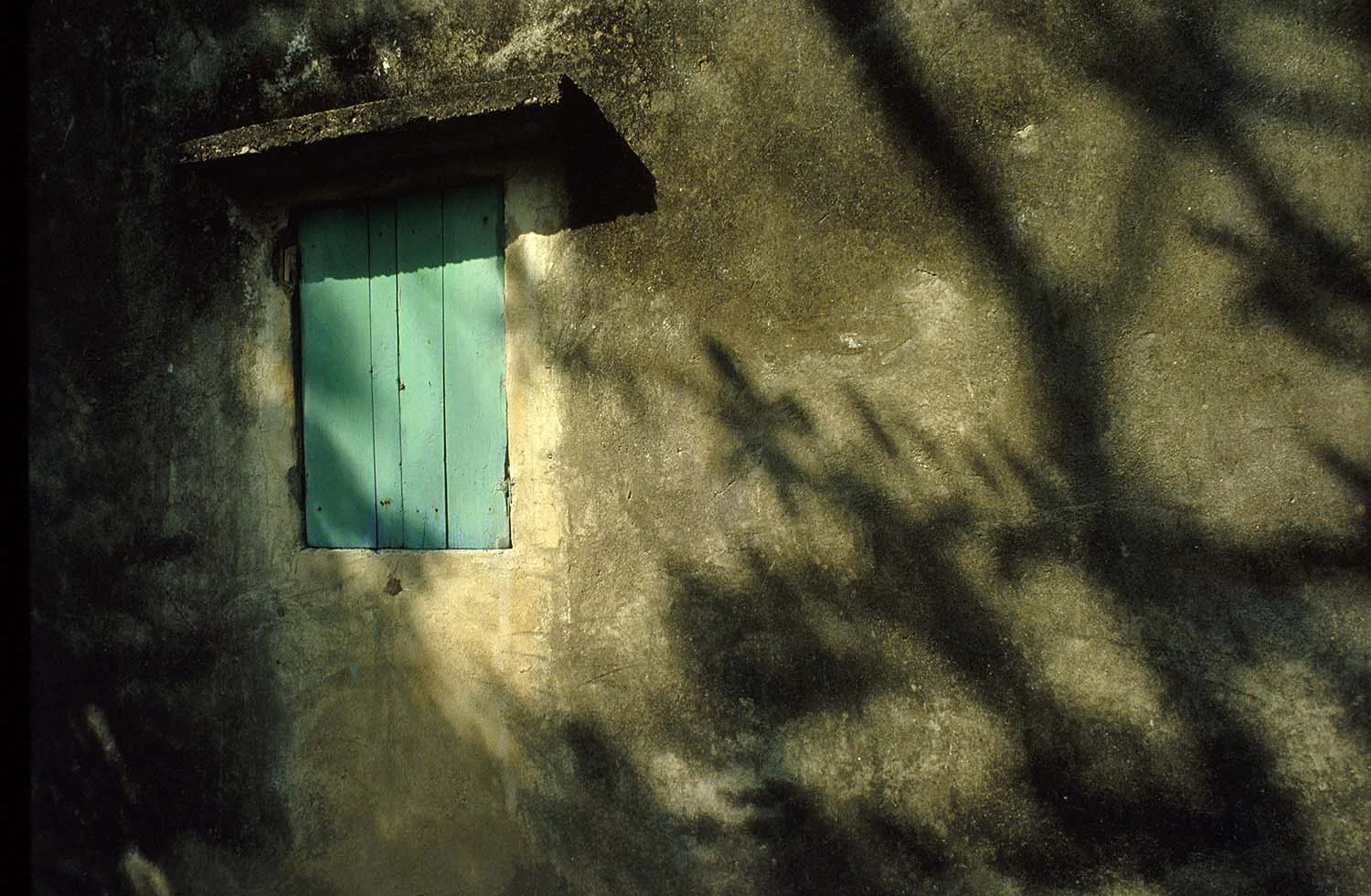 Window with tree shadows on the wall, Hong Kong