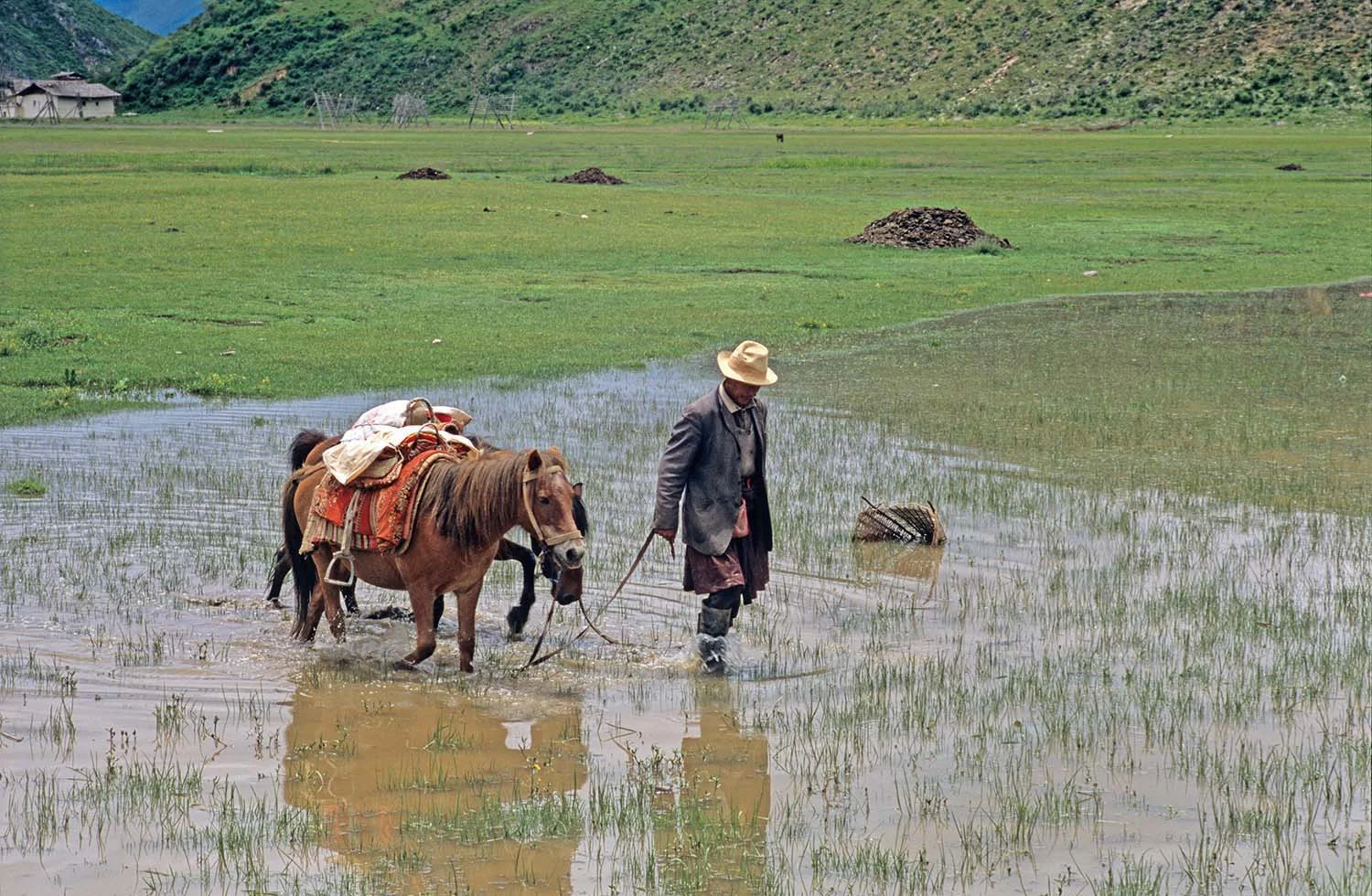 Man with a horse, China