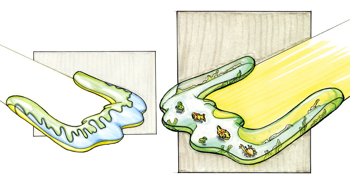 Concept sketches for Wave Rider and Aquarium Slide featuring Clear bumper and fun foam creatures inside