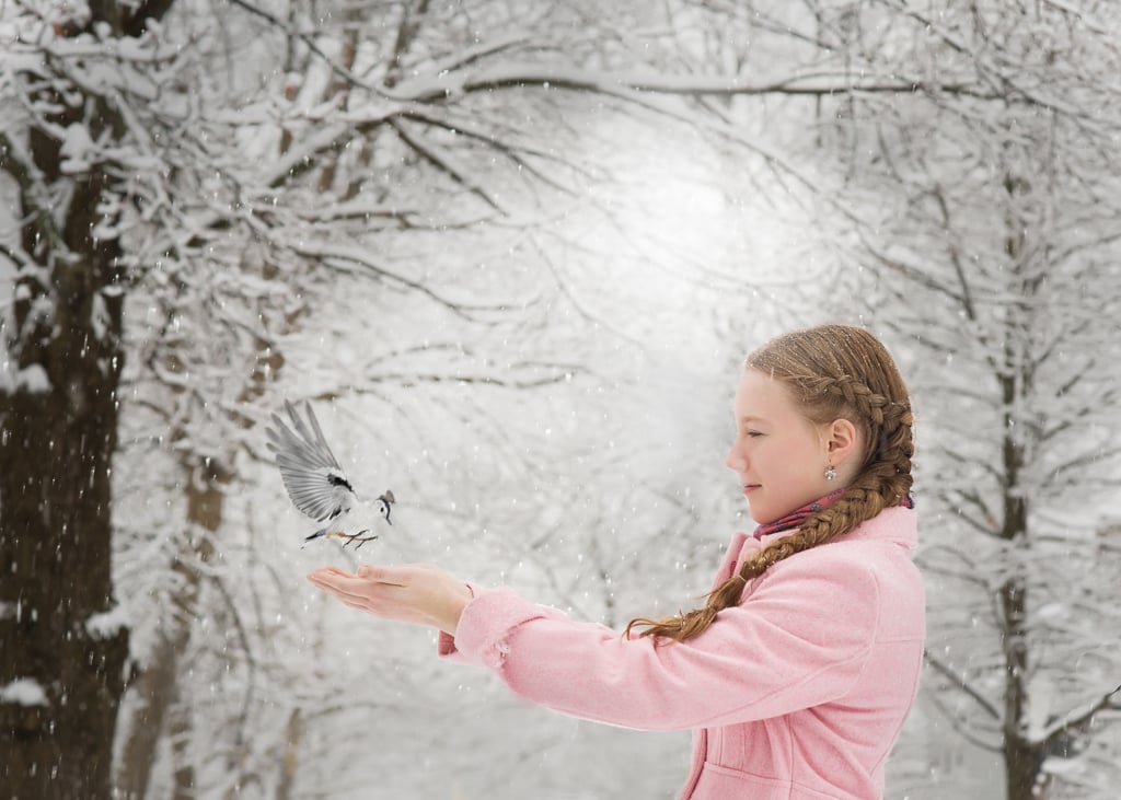 Winter wonderland