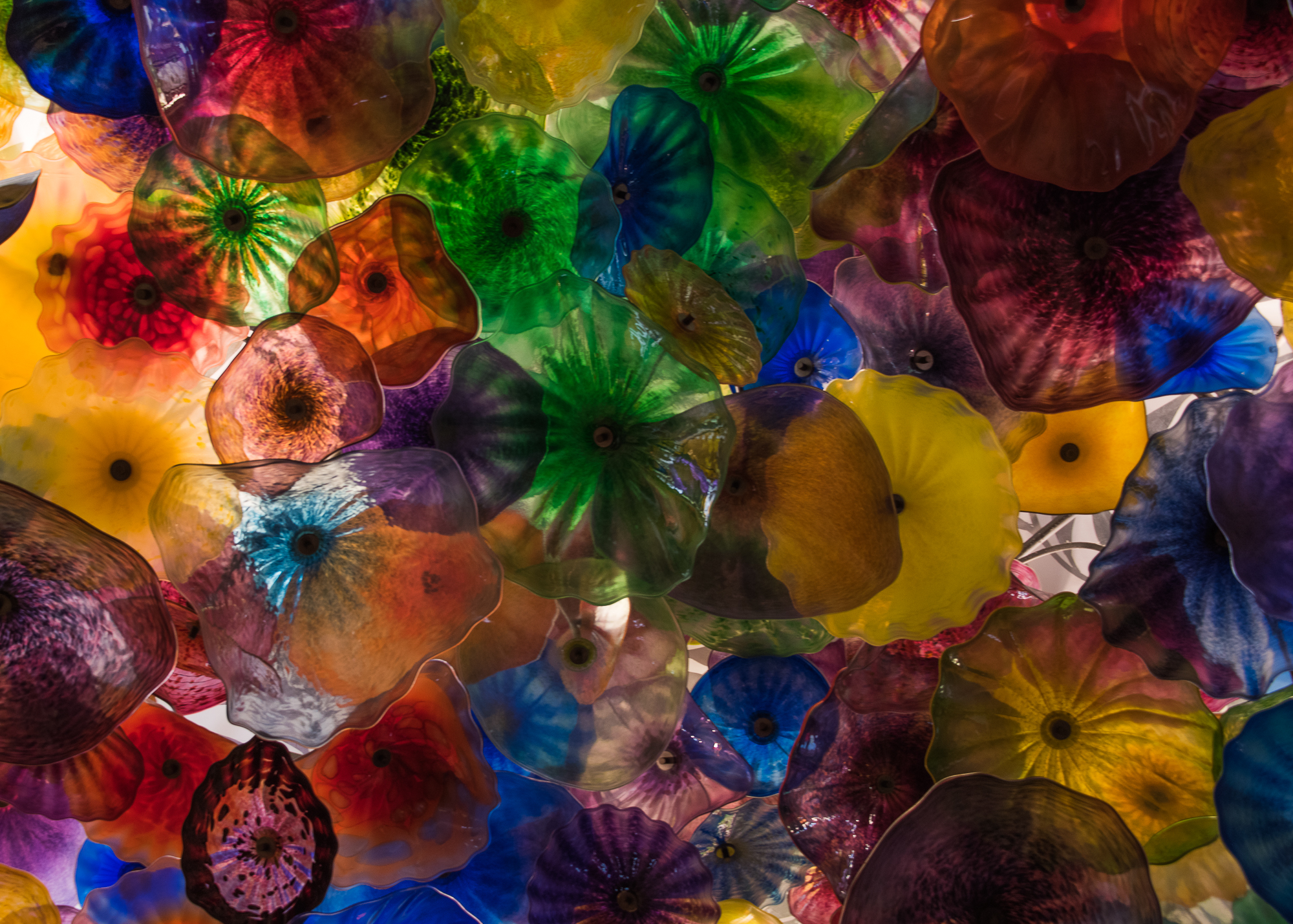 GlassCeiling-1.jpg