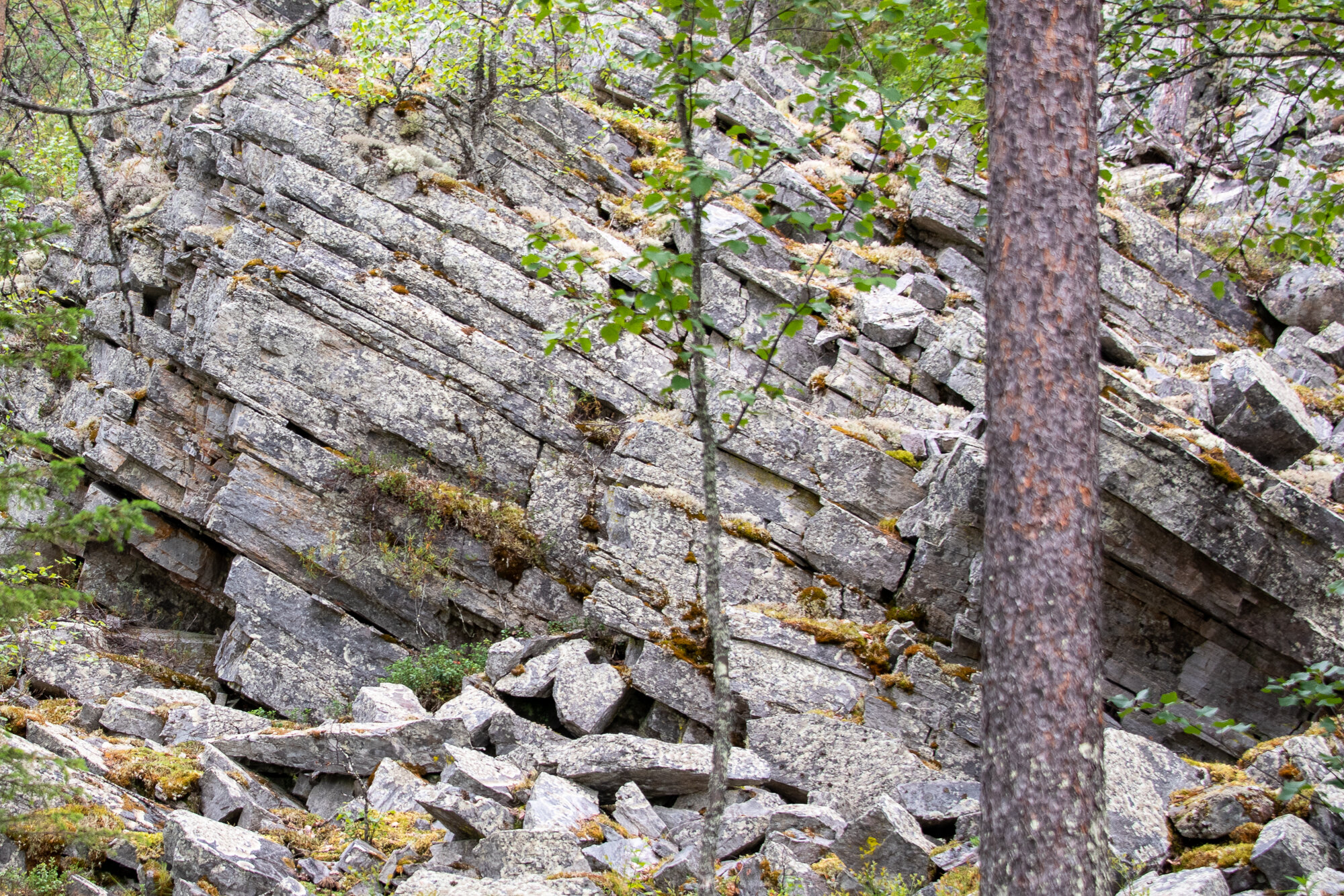 Lapland-1.jpg