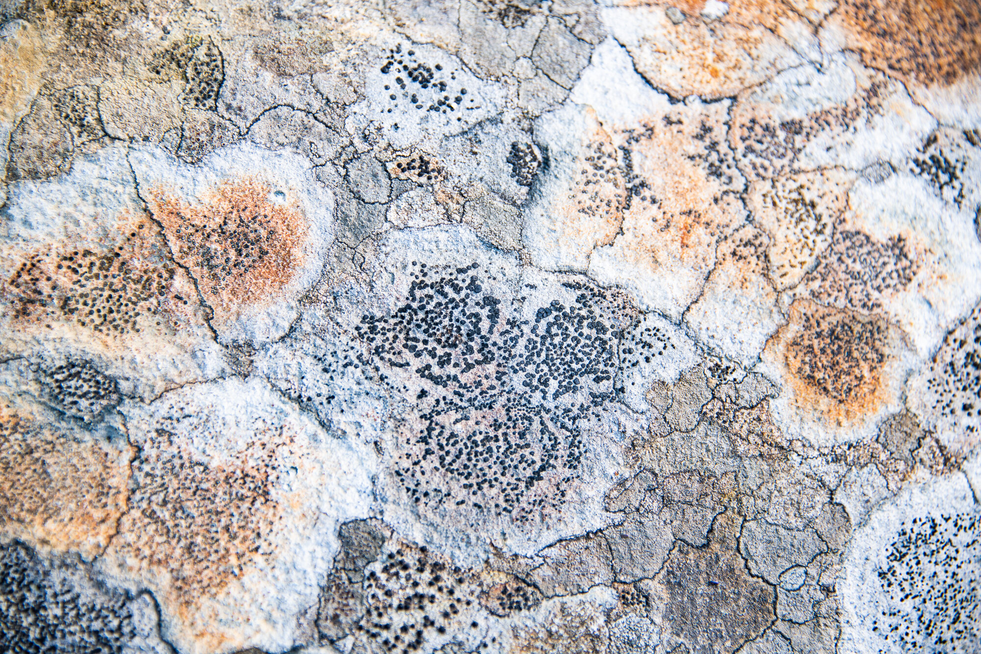 Lapland-38.jpg