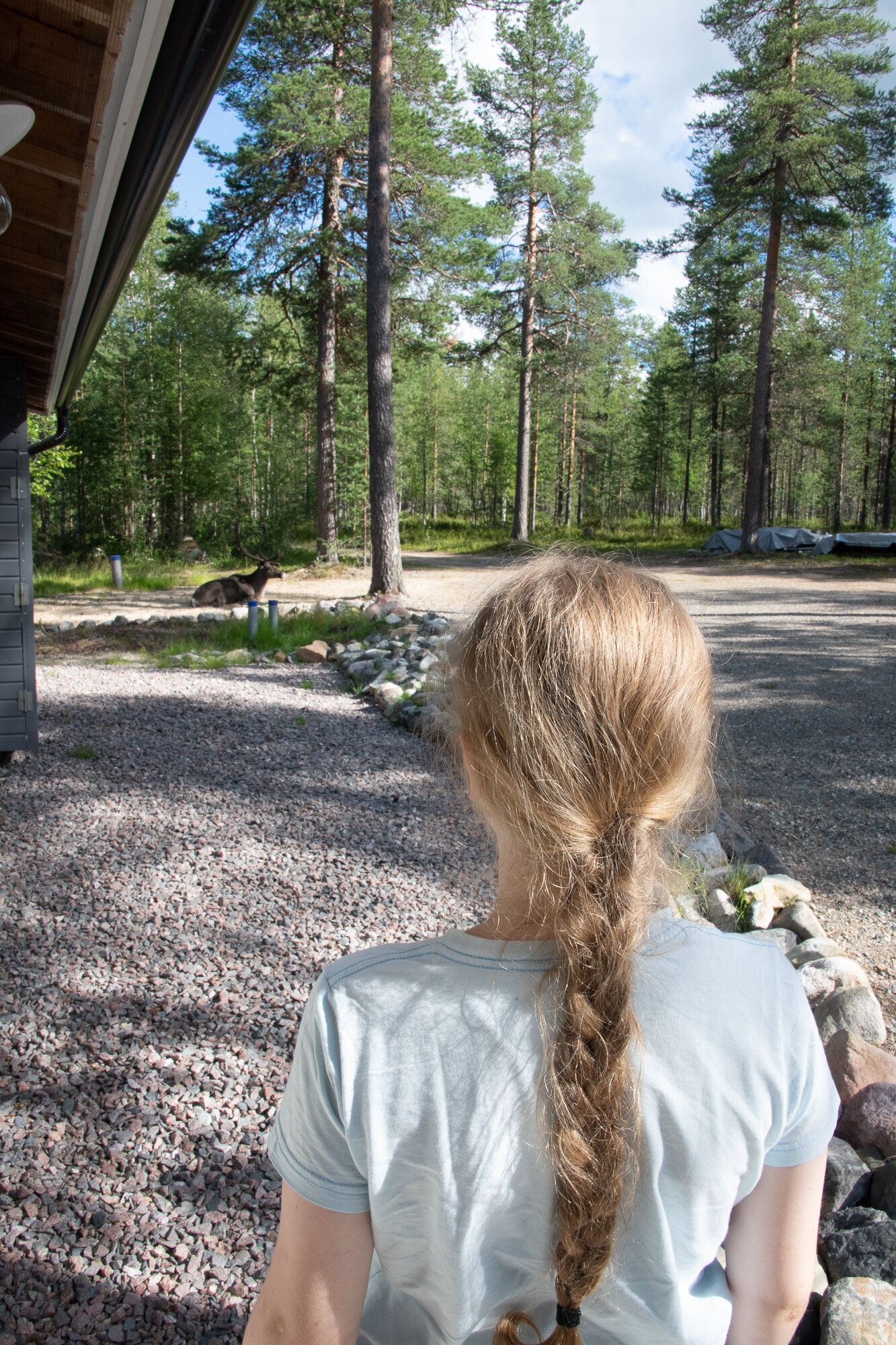 Lapland-40.jpg